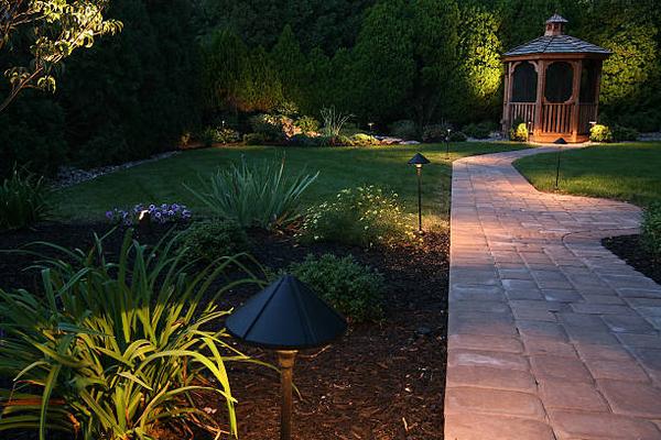 Best Landscapers for Lighting and Nursery Plants in Central Florida