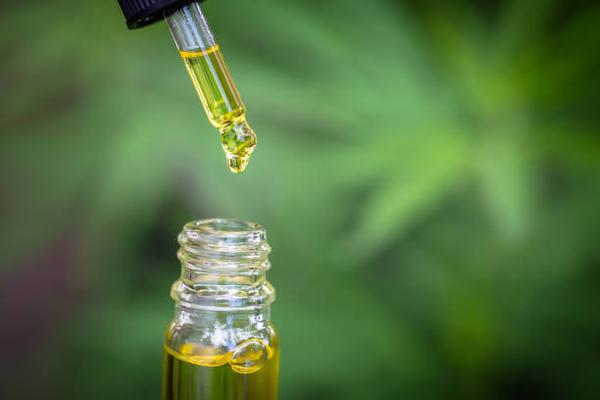 Managing Canine Inflammation: The Comprehensive Guide to CBD Oil for Dogs in Canada